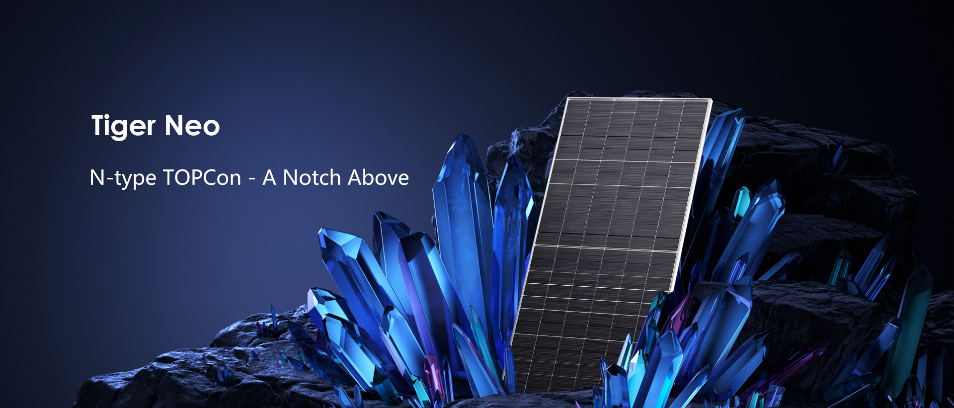 Trina Neo Panels  Technology